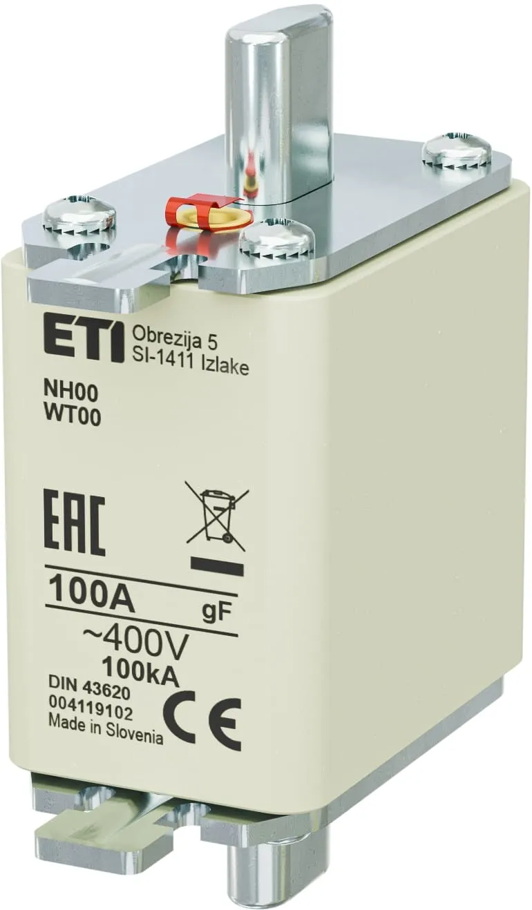 Fuse link NH00 gF 100A/400V 004119102